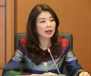 Đại biểu Quốc hội nói giá điện không tăng 8,36% như EVN công bố