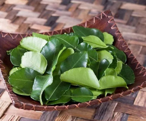 Lá chanh ở Việt Nam chỉ để ăn với thịt gà luộc, sang Châu Âu bán 6,3 triệu đồng/kg