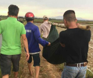 Quảng Trị: Đi làm ruộng thuê kiếm tiền nuôi con, người phụ nữ bị sét đánh tử vong