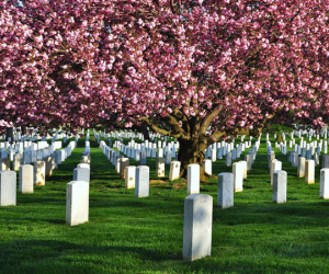 Dự luật lạ: Washington cho phép dùng xác người làm phân bón