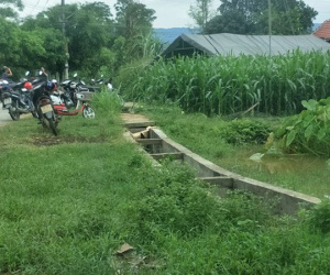 Hà Tĩnh: Phụ giúp thông gia thu hoạch lạc, một người đàn ông bị sét đánh tử vong