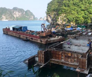 Vùng lõi vịnh Hạ Long có nhiều công trình xây dựng 'chui'