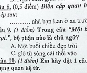 Chỉ một bài tập Tiếng Việt bắt tìm chủ ngữ của câu mà khiến dân mạng chia phe cãi nhau kịch liệt