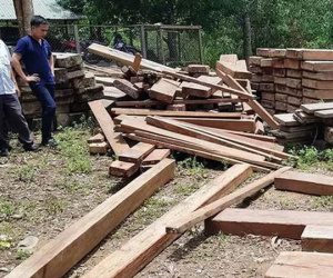 Điểm chứa gỗ 'lậu' ngay trong phòng làm việc của ủy ban xã
