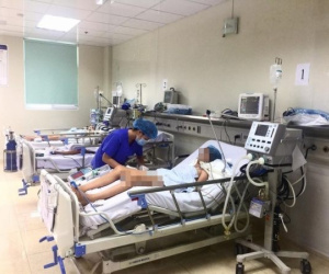 Viêm não Nhật Bản có thể gây tử vong trong 7 ngày: Nhận biết dấu hiệu cảnh báo bệnh để điều trị kịp thời