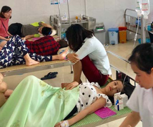 Hơn 50 du khách đi cấp cứu sau bữa ăn hải sản