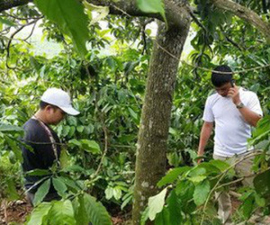 Vụ 3 bà cháu bị sát hại, chôn xác phi tang: Chồng nghi phạm nói gì?