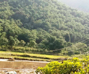 Gãy cột điện cao thế, vợ chồng trẻ Thanh Hóa bị điện giật chết thảm