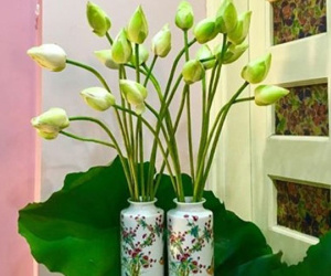 7 loại hoa bài trí trong phòng khách ắt trừ được tà, lại mang đến nhiều tài khí, may mắn cho gia chủ