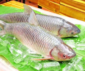 Thực phẩm cực độc khi nấu cùng tỏi