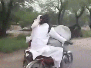 Video: 'Cười ngất' với thanh niên chở bò vi vu 'hóng gió' bằng xe máy