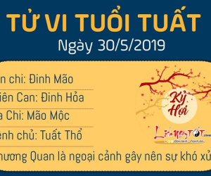 Tử vi Thứ 5 ngày 30/5/2019 của 12 con giáp: Tý không nên mạo hiểm, Thân đếm tiền mỏi tay