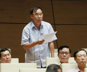 'Việt Nam vay hàng tỷ USD trong khi vàng và ngoại tệ của dân rất lớn'