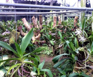Ảnh bìa bài viết 276688