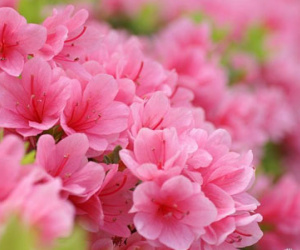 7 điều khiến năm 2015 của bạn trở nên tuyệt vời