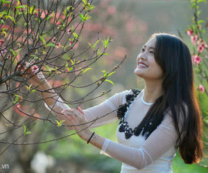 Giới trẻ Hà thành du xuân tại vườn đào Nhật Tân mới nở