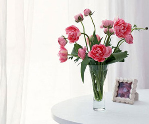Ảnh bìa bài viết 277027