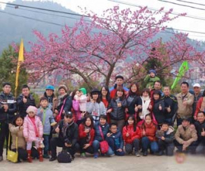Ảnh bìa bài viết 277017