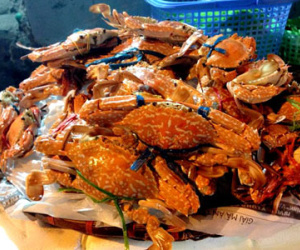 Ai không nên ăn cua, ghẹ?