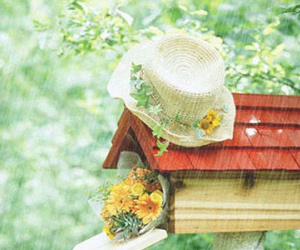 Thứ tư của bạn (7/1)