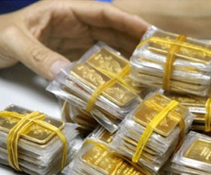 Chênh lệch giá vàng co 800.000 đồng/lượng trong tuần