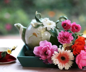 Chủ nhật của bạn (11/1)