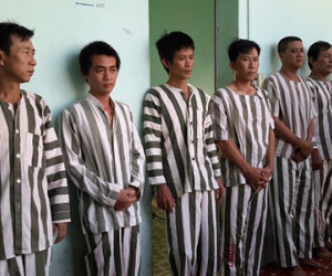 Nổ súng đột kích trường gà quy mô lớn