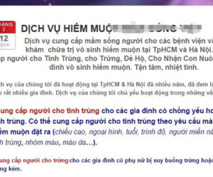 “Thuê bụng” giá nửa tỷ!