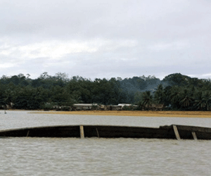 Ảnh bìa bài viết 278917