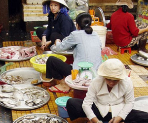 Tôm độc hại: Nước ngoài cấm, để bán trong nước cho dân nghèo