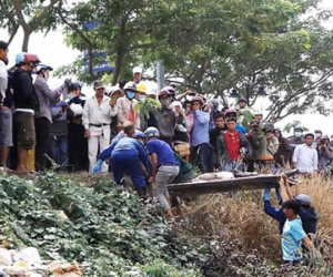 Trèo lên cây xem thi thể phân huỷ trên đại lộ ở Sài Gòn