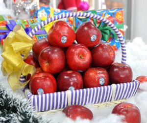 Táo Gala, Granny Smith lên giỏ quà Tết Hà Nội