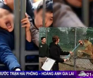 VTV xin lỗi vì so sánh fan Hải Phòng như... hổ đói