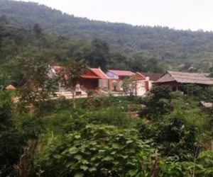 Yêu cầu làm rõ vụ 12 con dê "lạc" vào trang trại Bí thư huyện