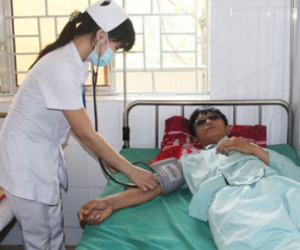 Người đàn ông ngất xỉu vì bị ong đốt gần 300 mũi