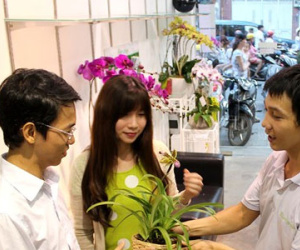800.000 đồng một cành lan ngoại chơi Tết ở Sài Gòn