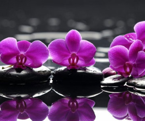 Thứ ba của bạn (27/1)