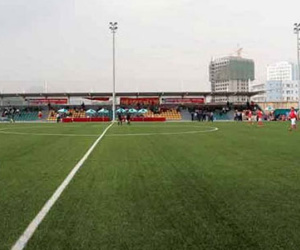 Viettel liên kết với Dortmund xây dựng Học viện bóng đá