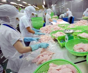 Việt Nam phản đối Mỹ áp thuế chống bán phá giá cá tra