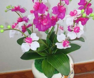 “Con buôn” sinh viên: Buôn bán cũng cần “đanh đá"