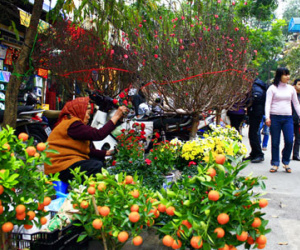 Miền Bắc đón Tết Nguyên đán trong mưa rét