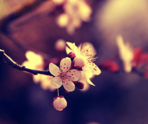 Thứ ba của bạn (3/2)