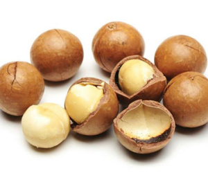 Chính phủ chỉ đạo thí điểm trồng mắc-ca ở Tây Bắc