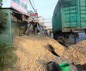 Lật xe container, hàng chục tấn khoai mì đổ tràn lấp cửa nhà dân