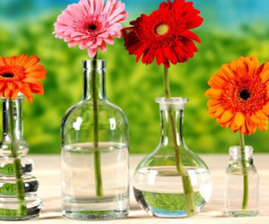 Những loại hoa nên mua để mang lại may mắn, tài lộc cả năm