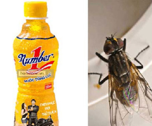 Con ruồi "ma ám" và lối thoát cho Tân Hiệp Phát