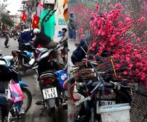 Mặc cả láo khi mua cành đào, bị đánh nhừ tử