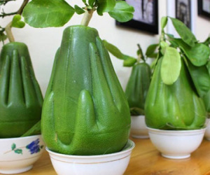 Hoa quả lạ chơi Tết: Lo ngại về chất lượng