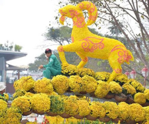 Ảnh: Đường hoa Đà Nẵng chính thức khai hội đón khách