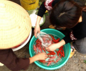 Cá, hoa quả, vàng mã "đội giá" tiễn ông Táo về trời